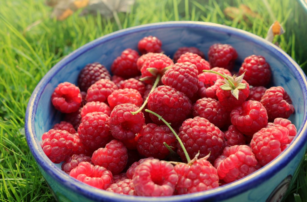 grow your own raspberries