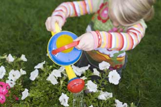 Watering garden