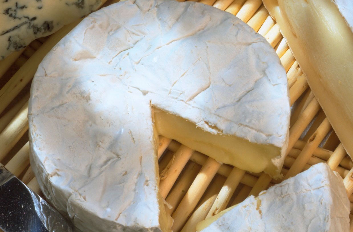 Camembert