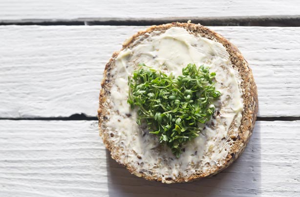 Cress on whole grain bread