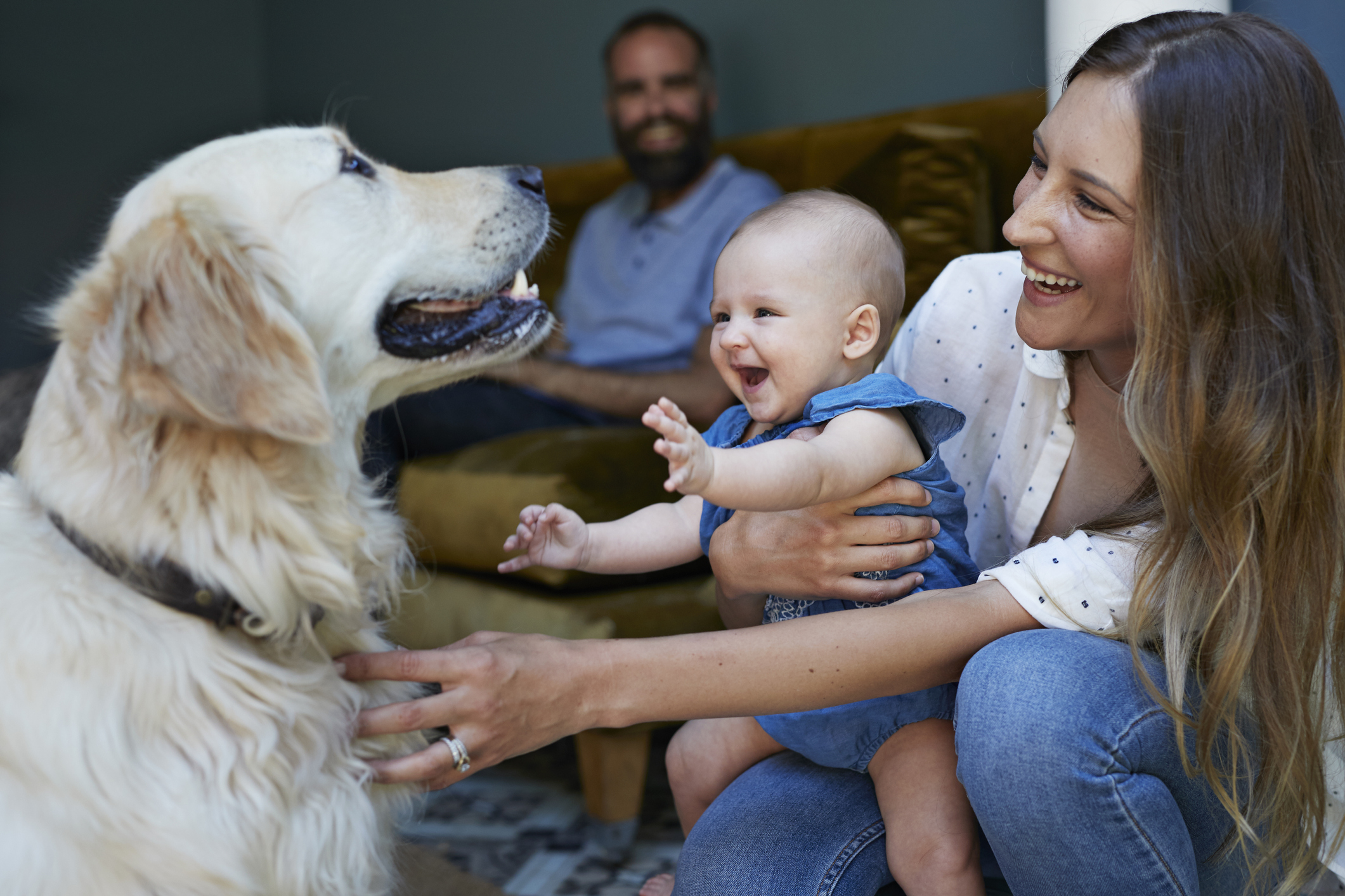 Which pet is best for my family? Decide which is best with our guide