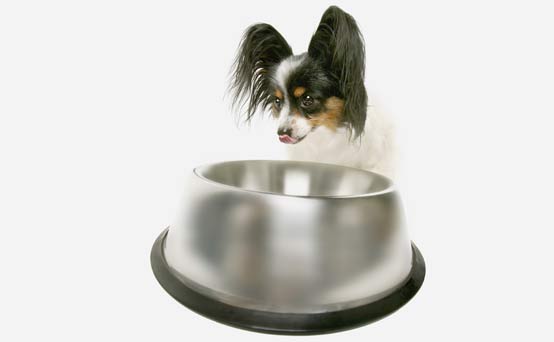 Household bills: Buy pet food in bulk