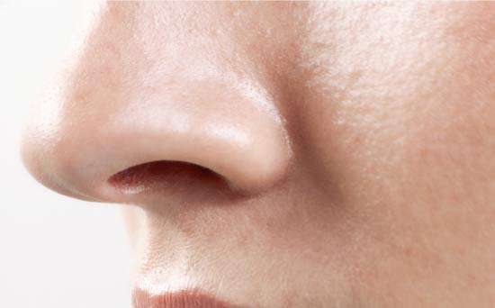 Women's nose
