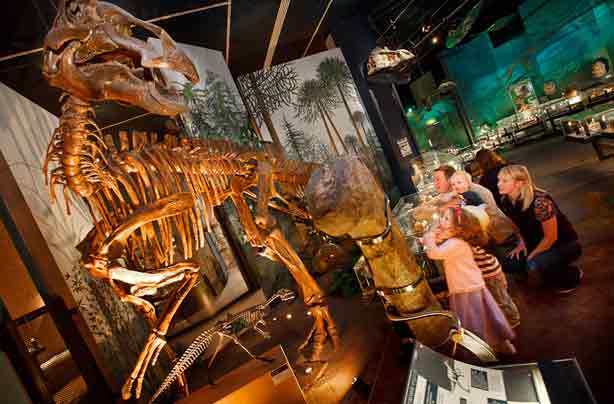 Free museums National Museum Cardiff