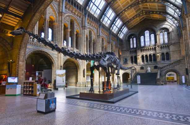 Free museums Natural History Museum London
