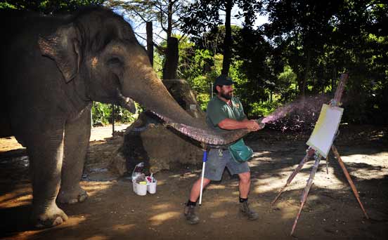 Elephant artist