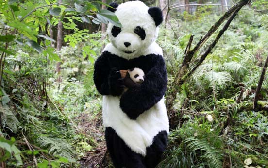 Funny animal pictures
