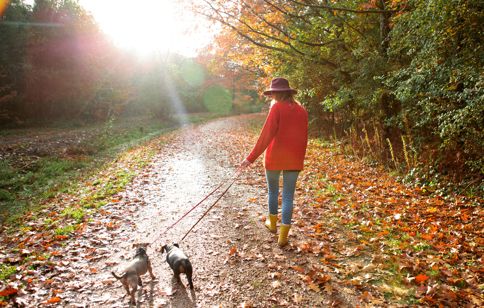 Bingo wings: walking exercise