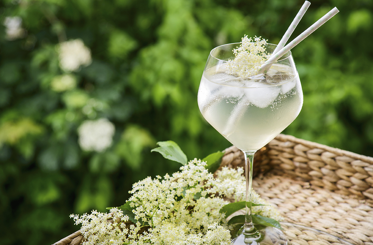 Elderflower Champagne Drinks Recipes GoodtoKnow