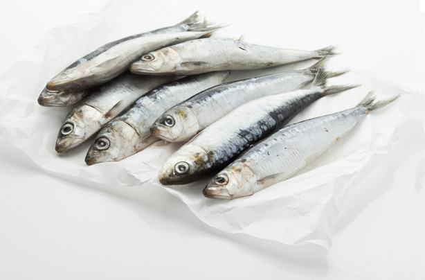 Fatty fish boosts sun protection