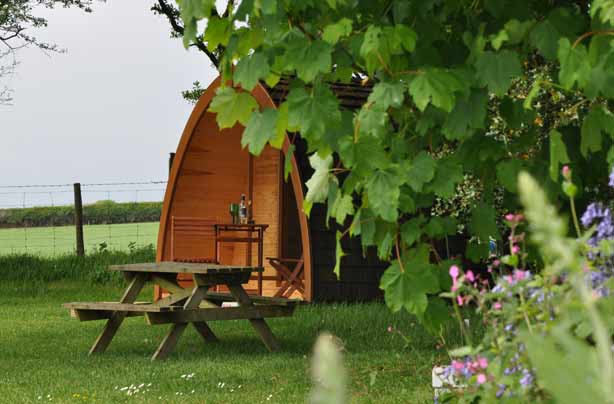 Budget holiday parks Devon Woodovis Park