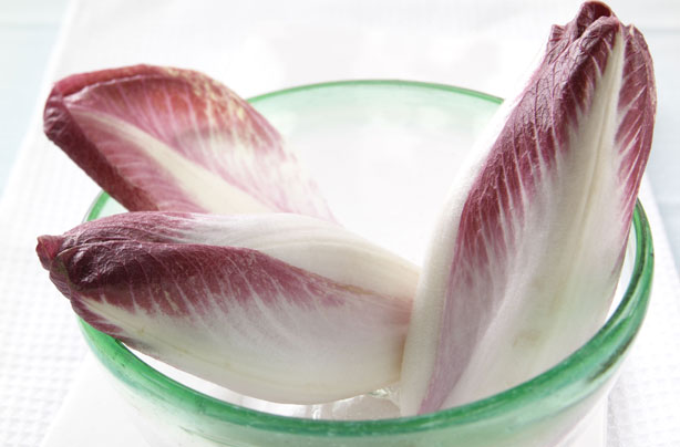 Chicory