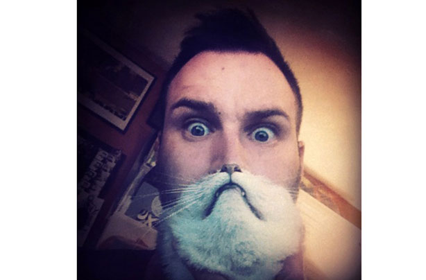 Cat beards