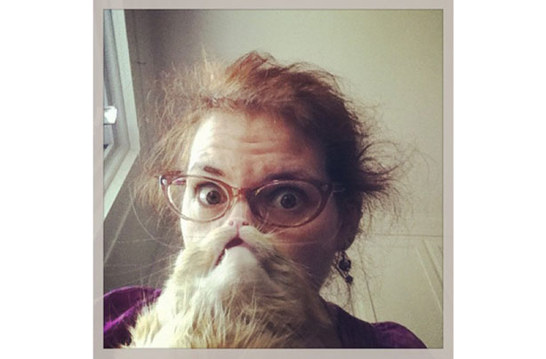 Cat beards