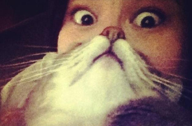 Cat beards