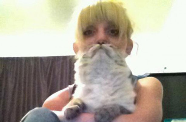 Cat beards