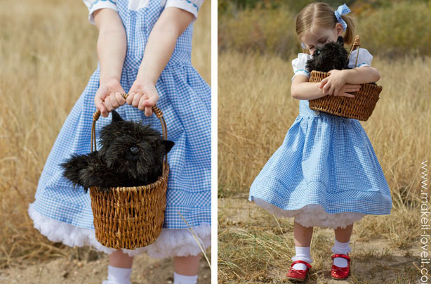 Wizard of Oz World Book Day Costume