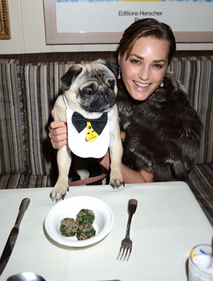 Dinner for dogs