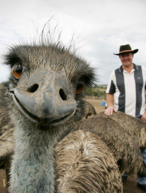 smiling animals