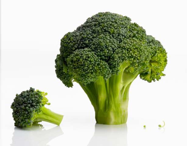 Broccoli