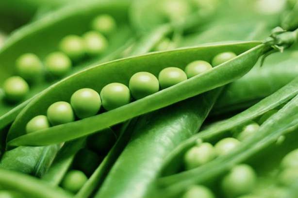 Peas Pod