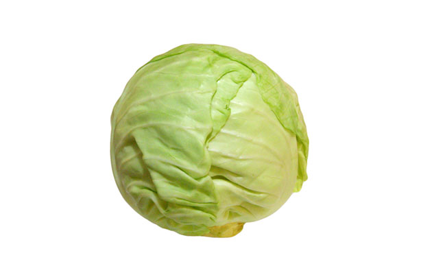 Cabbage