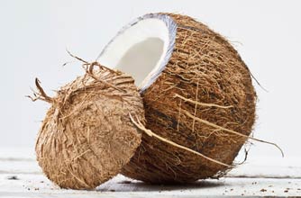 Coconut