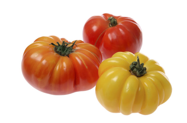 Large tomatoes