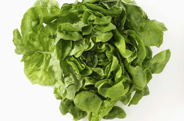Lettuce