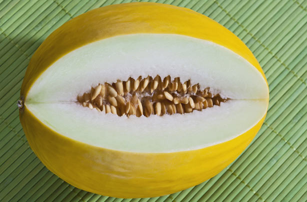 Honeydew melon