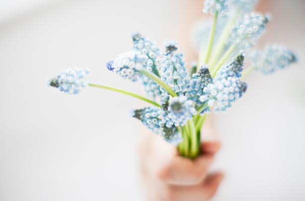 Bunch of flowers