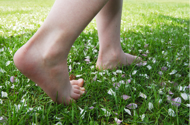 Child's bare feet walking across lawn and blossom