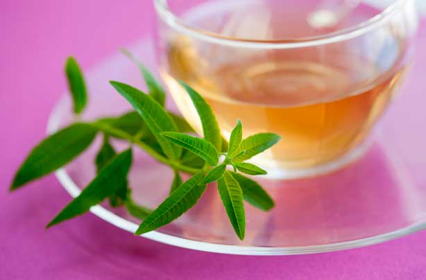 Herbal tea