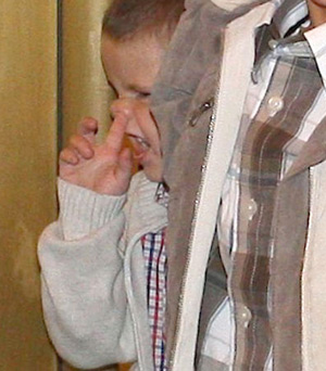 The Beckham family album: 2008