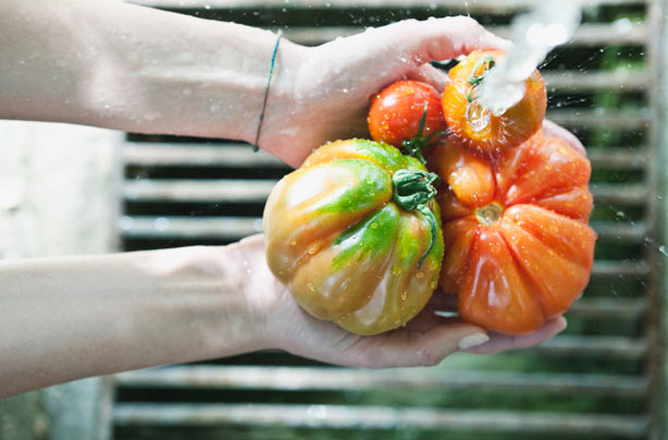 Washing tomatoes
