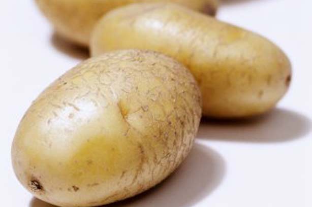 The 20 most wasted foods in the country