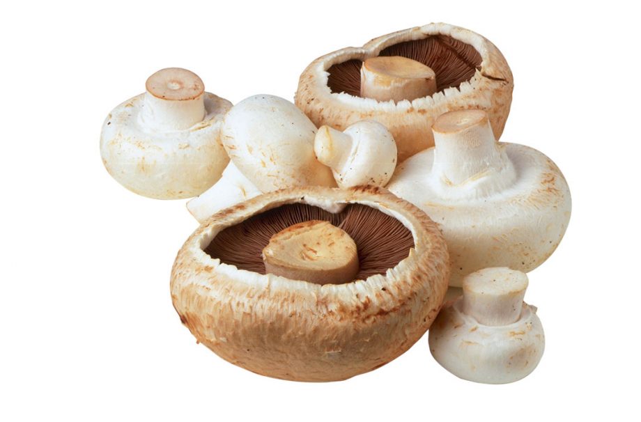 How to freeze mushrooms
