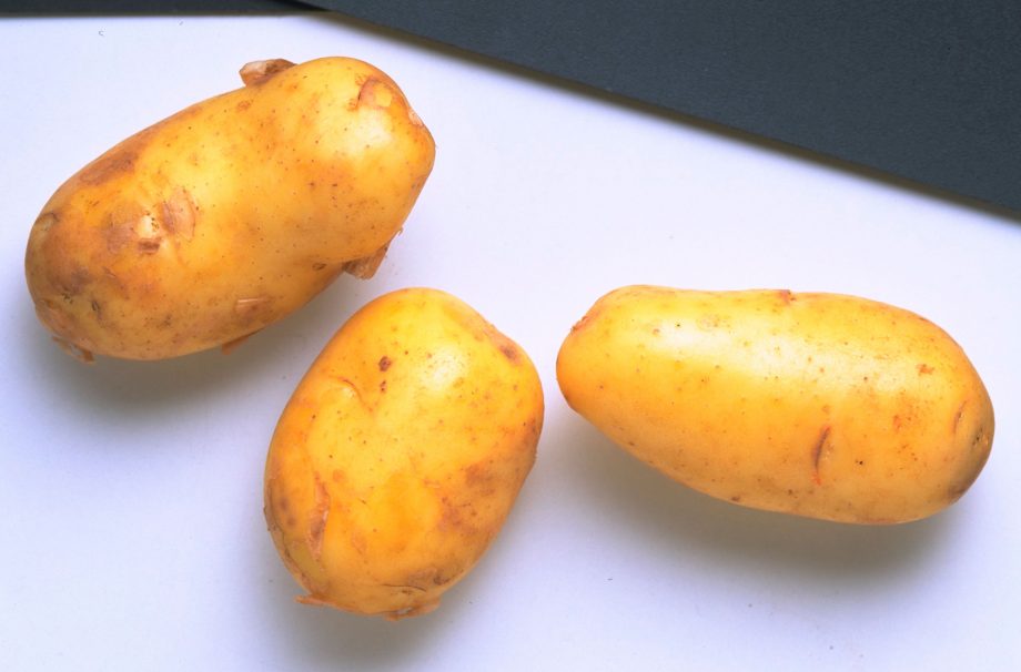 How to freeze potatoes