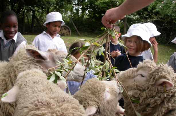 Cheap days out_Kentish Town City Farm_London