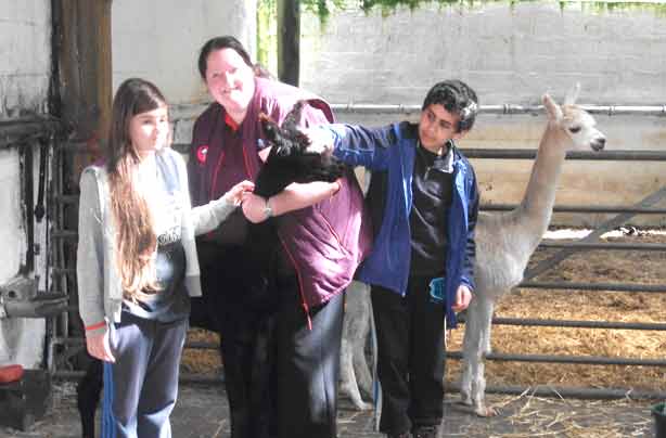 Free days out: Meanwood Valley Urban Farm Leeds