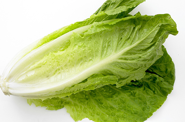 Romaine lettuce