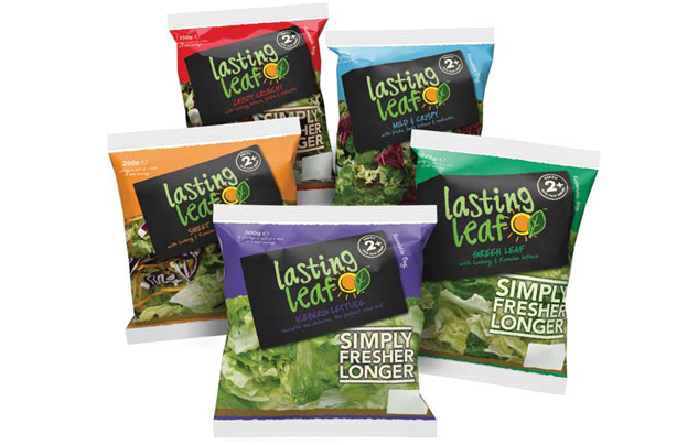 Bags of salad