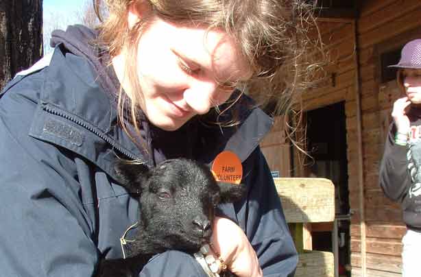 Free days out: Tam O'Shanter Urban Farm, The Wirral