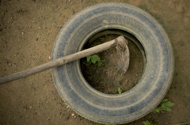 Money-saving gardening tips: Car tyre garden