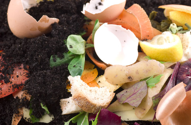 Money-saving gardening tips: Use your scraps