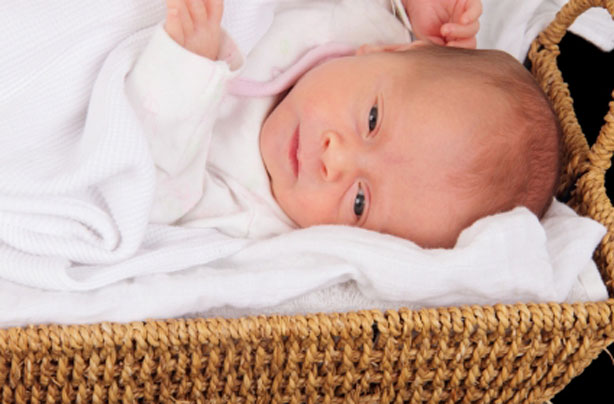 Baby in a Moses basket