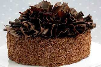 Our 20 best chocolate cake recipes