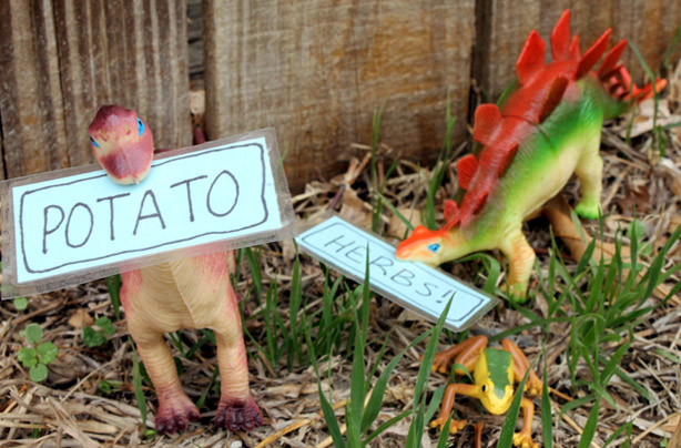 Dinosaur plant markers