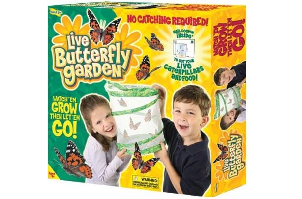 50 outdoor toys for summer: Insect Lore butterfly garden