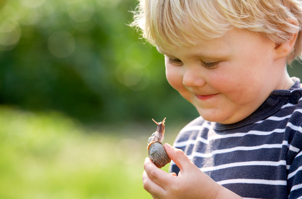 Little boy holding a snail
